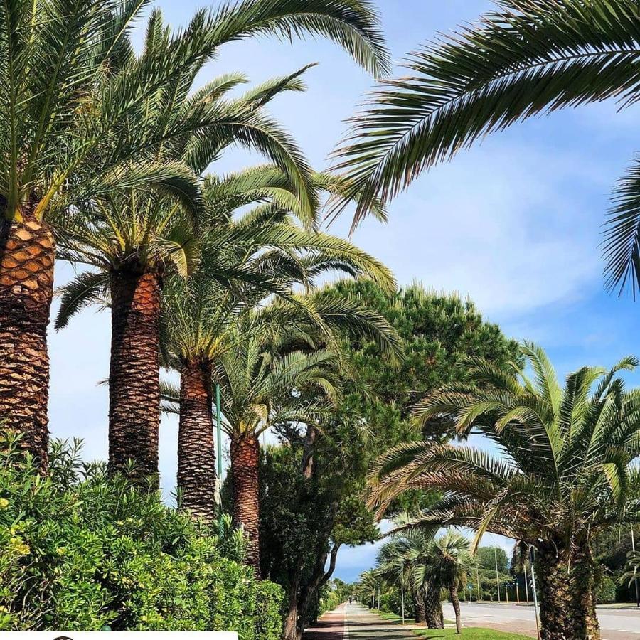 Hotel Etruria Forte dei Marmi Luaran gambar